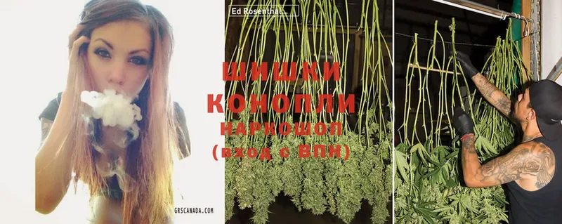 Конопля White Widow  купить   Нерчинск 